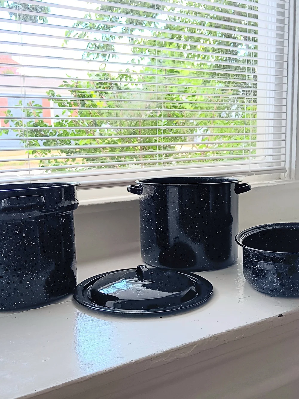 Enamel Speckled Black Stockpot and Roasting Pan Set - Black
